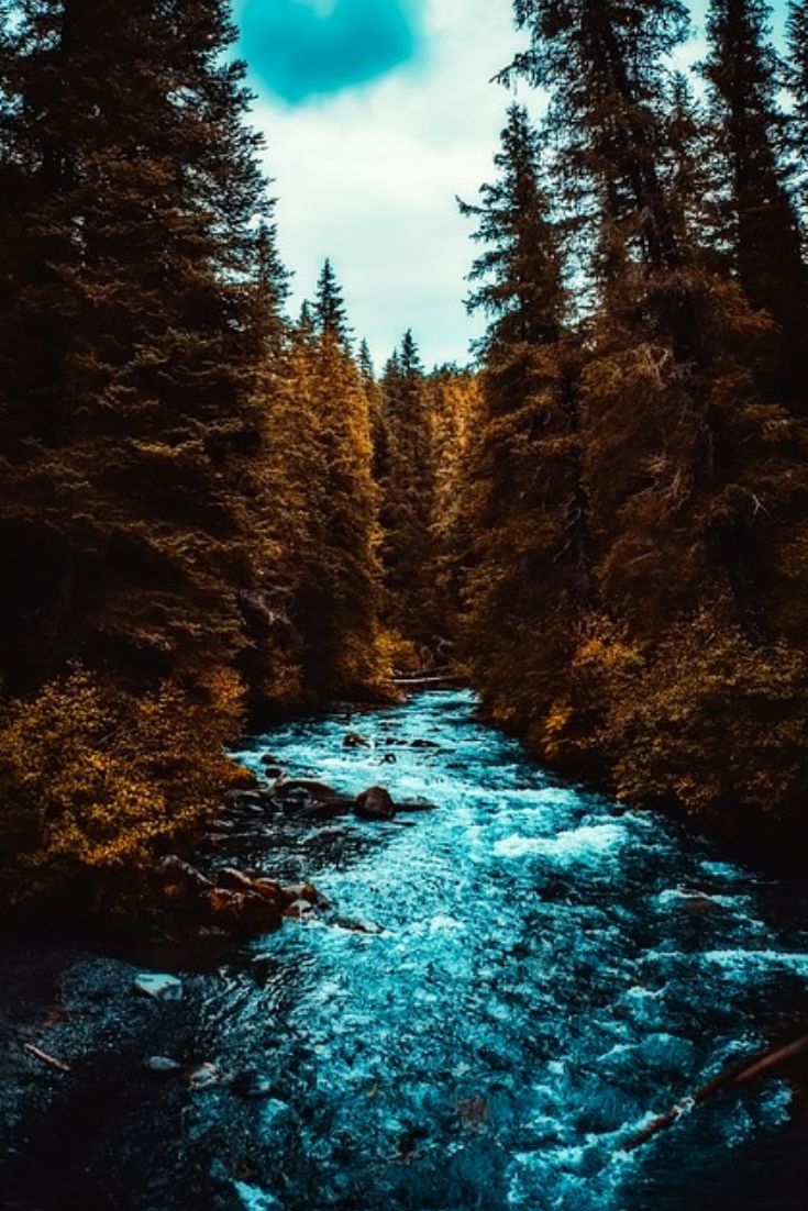 Discover the Wonders of Alaska