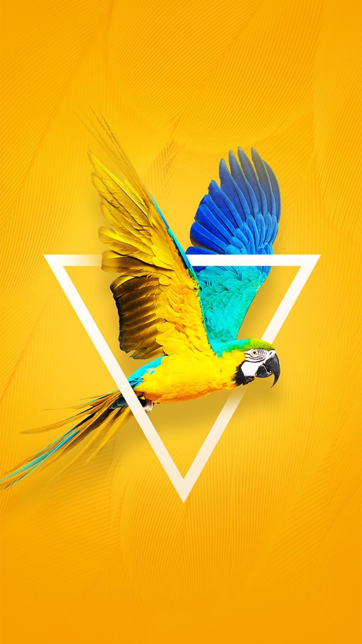 Tecno Wallpaper for Mobile