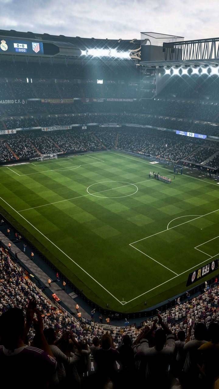 Football pitch, Football stadiums