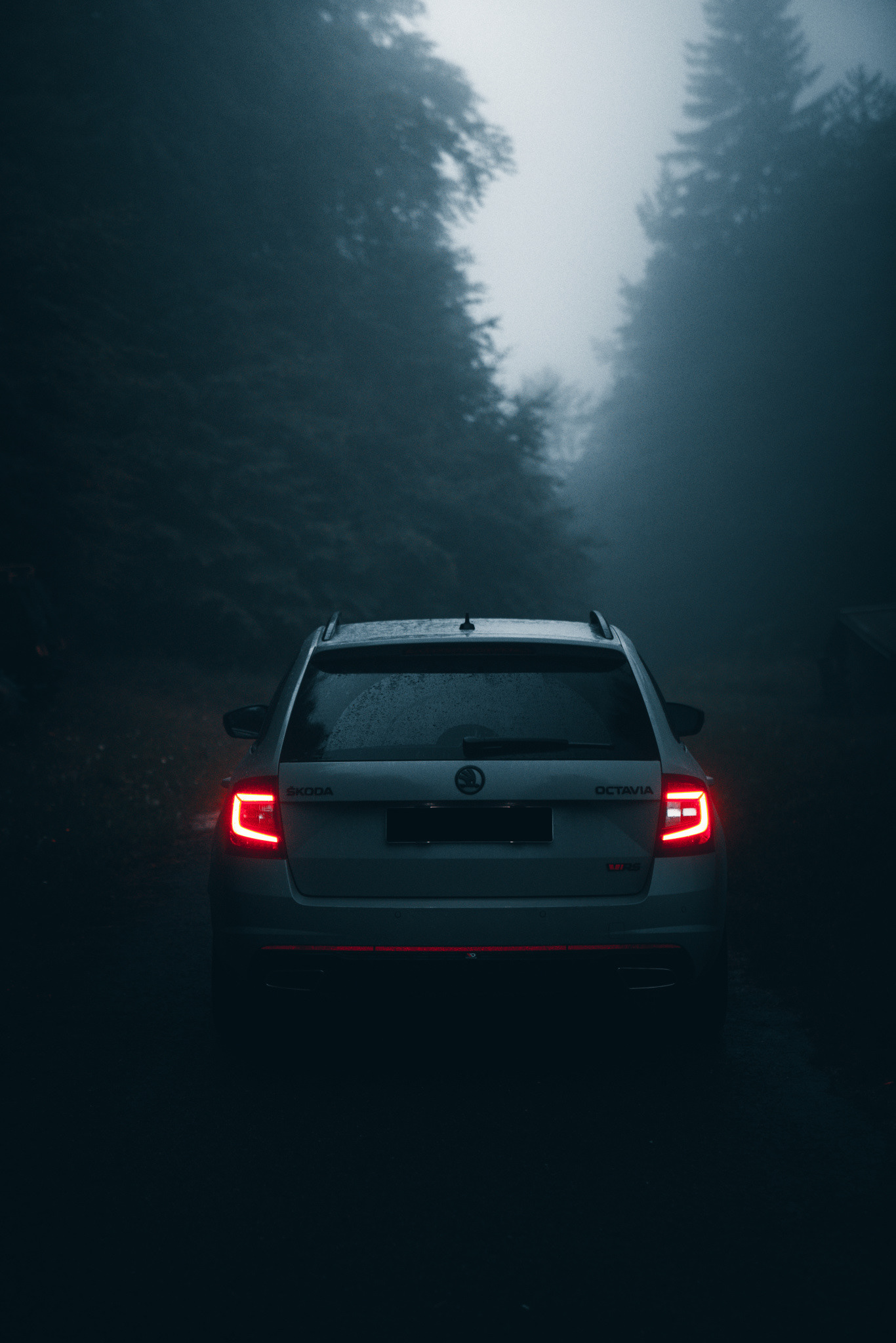 Skoda Octavia Rs. Steel Grey. Behance