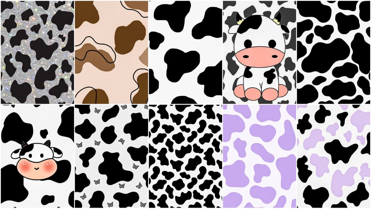 Preppy Cows Wallpapers Wallpaper Cave