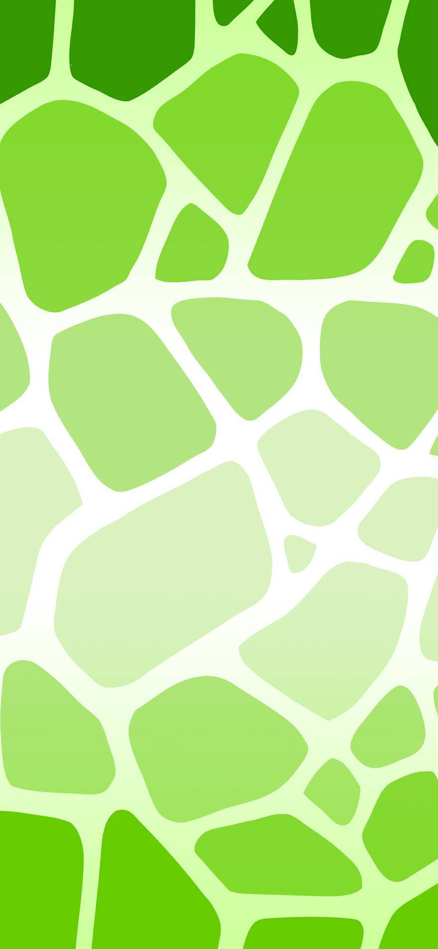 Download Super Light Green Cow Print
