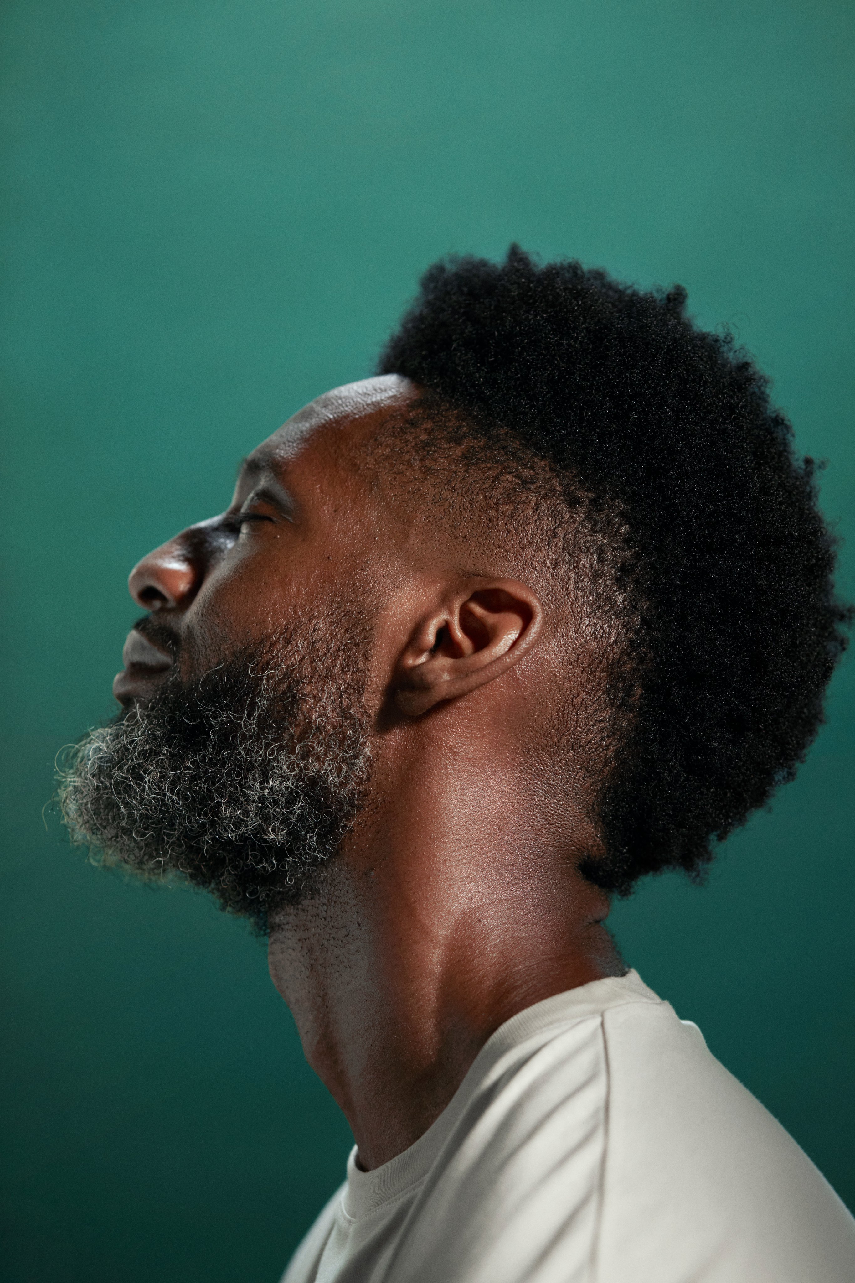 Mohawk Haircut With Afro Hairstyles