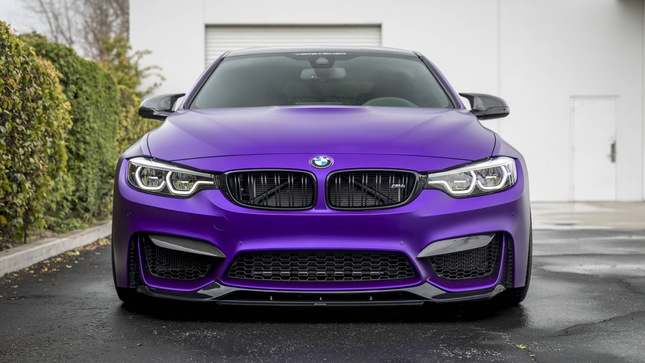 Violet Vorsteiner Full HD BMW Wallpaper