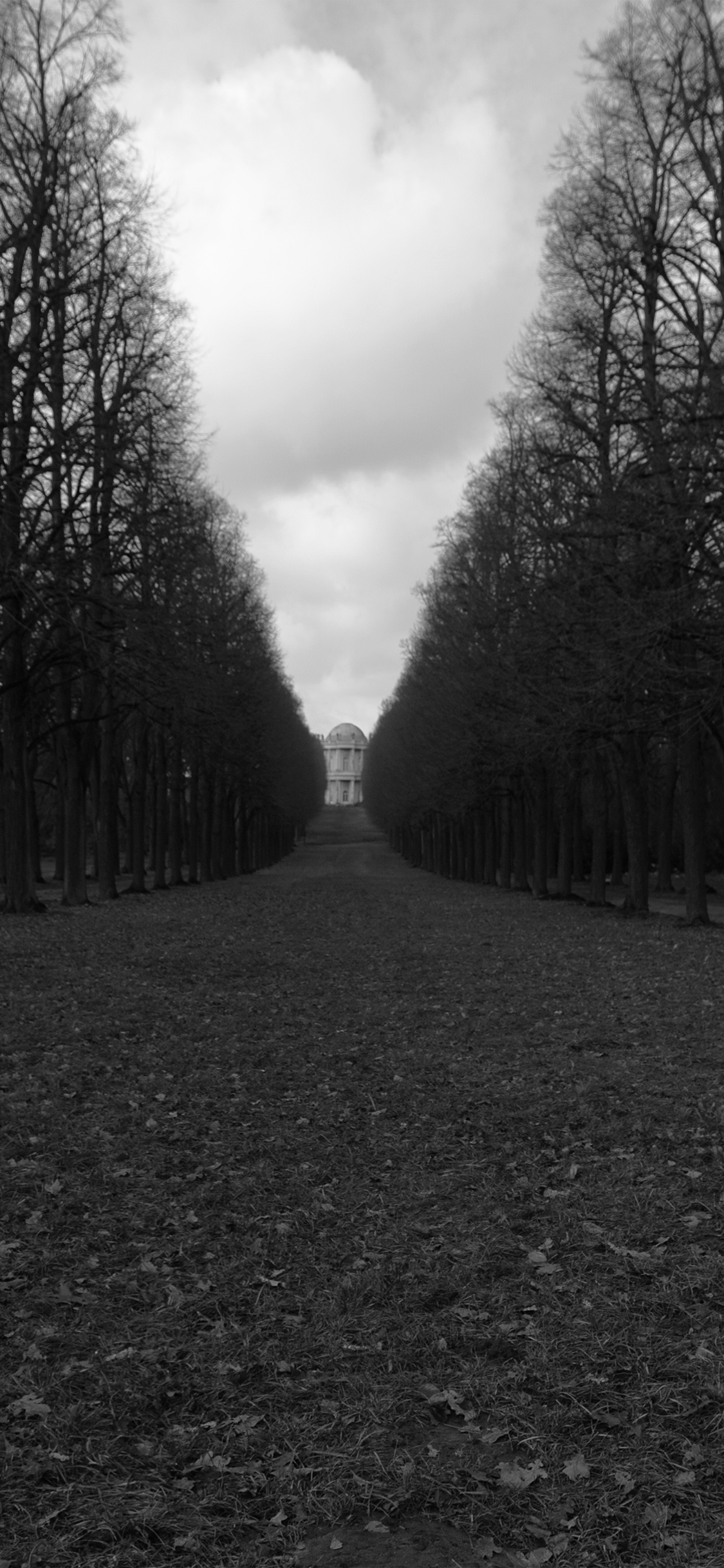 Dark Bw Road Germany Wallpaper