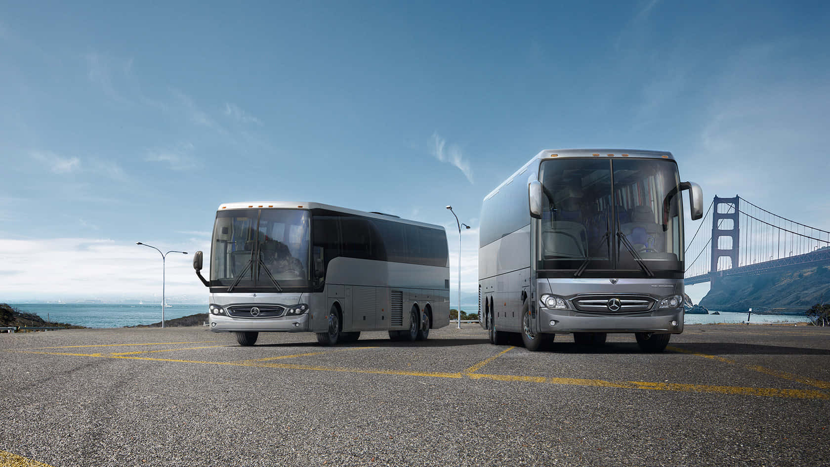 Download Buses Picture