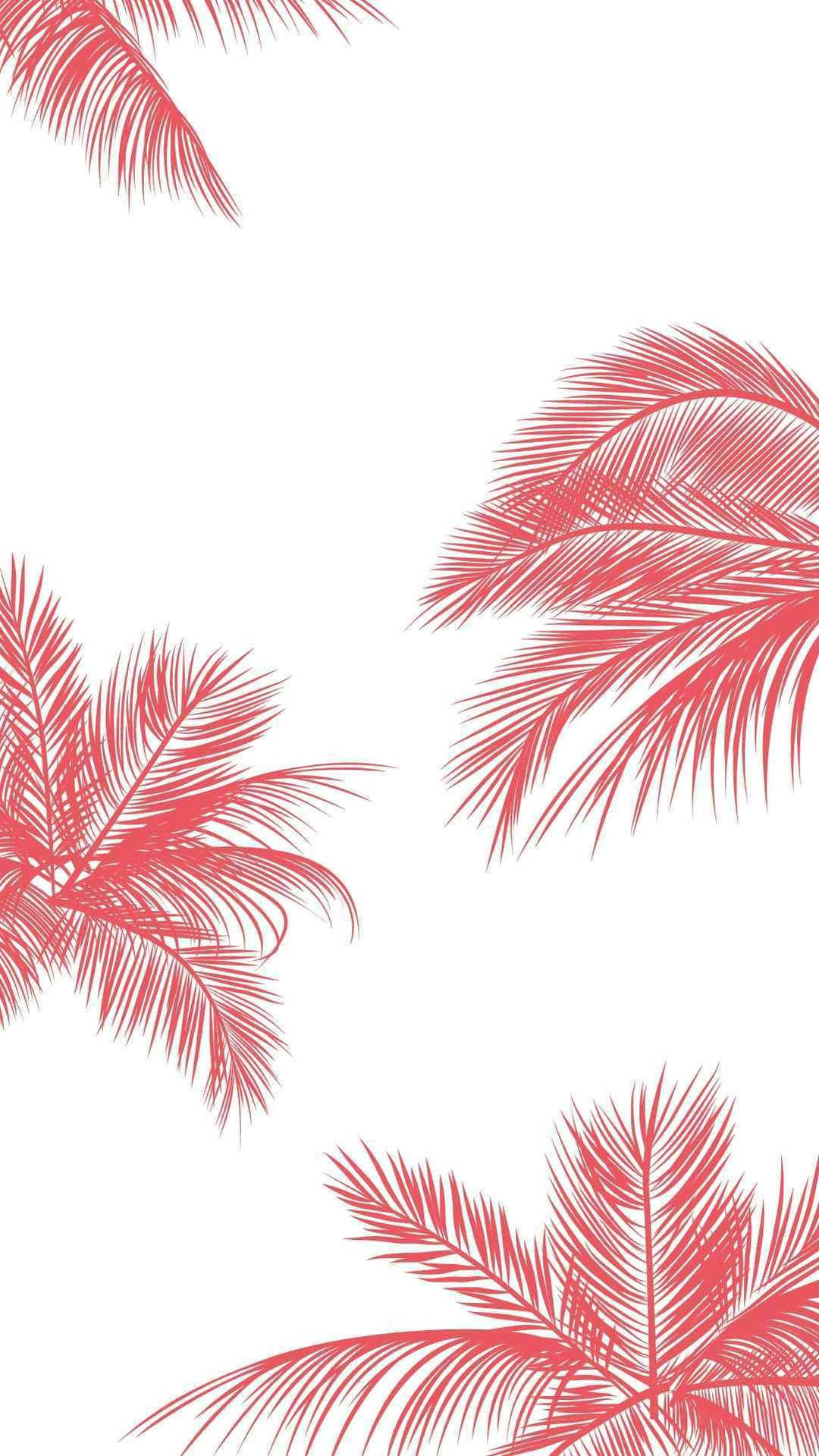 Download free Cute Summer Pink Palm