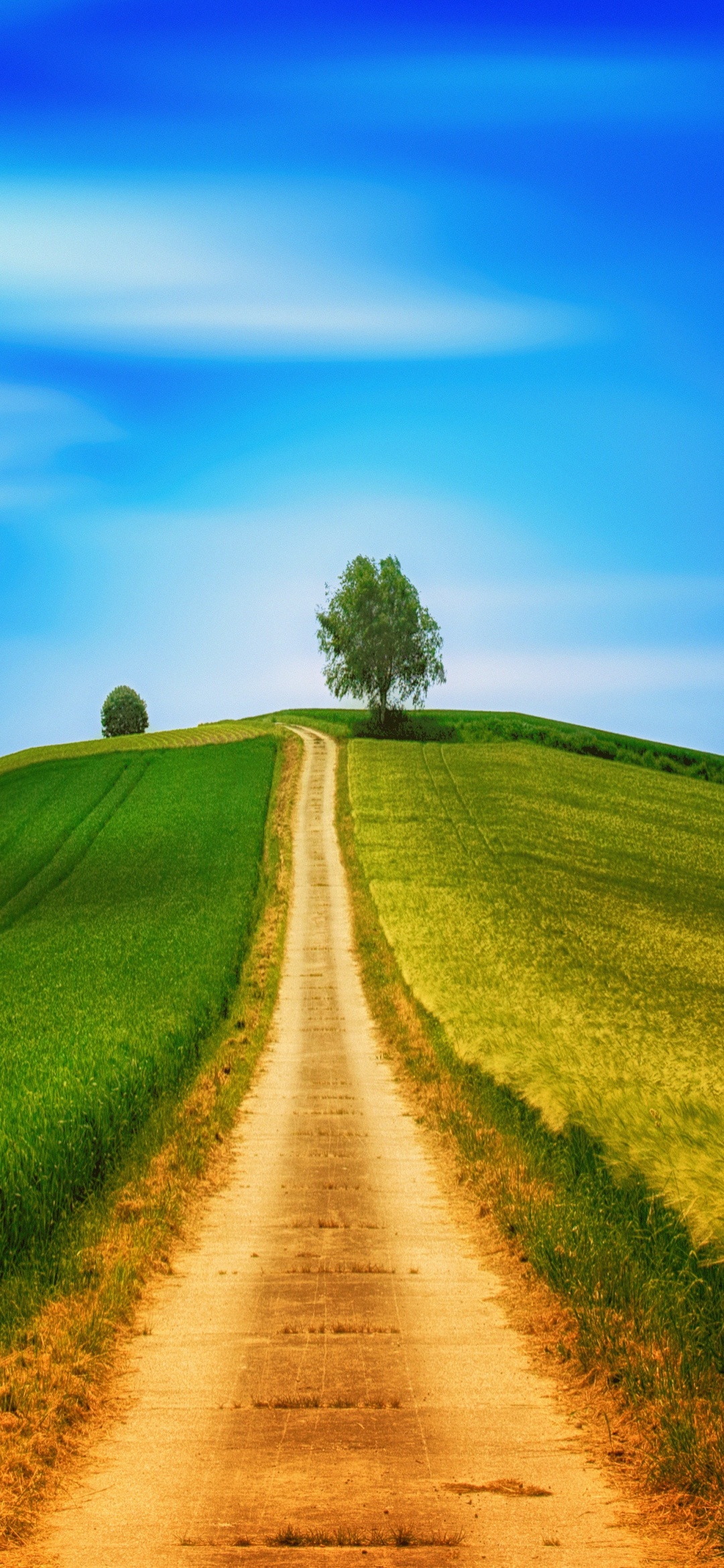 Landscape Wallpaper 4K, Green, Path