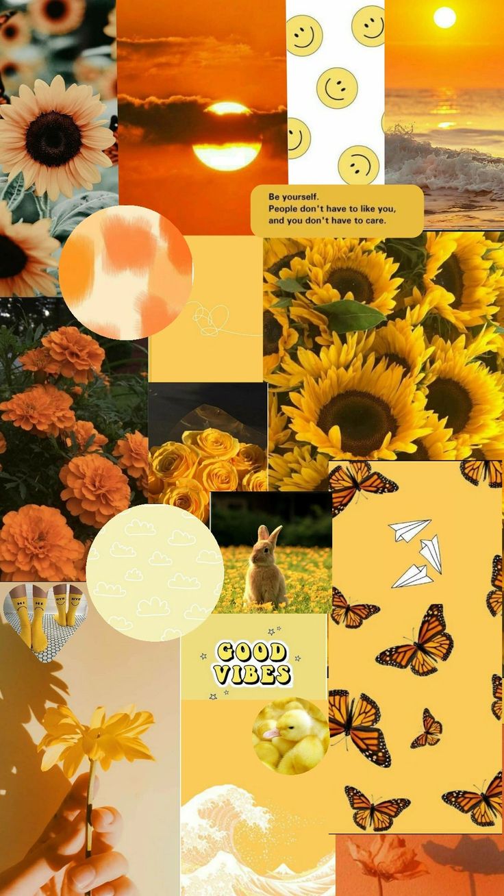 Yellow wallpaper asterichs. Summer