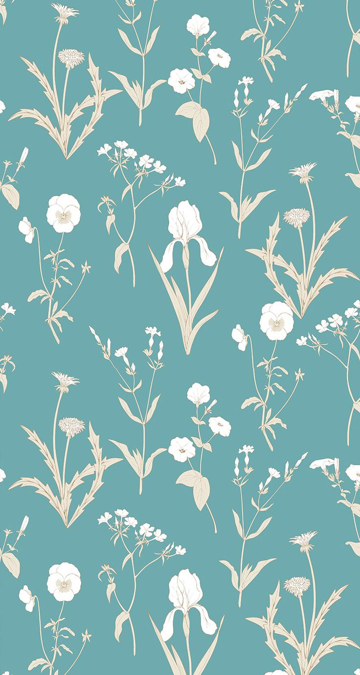 Wild white flowers on a turquoise