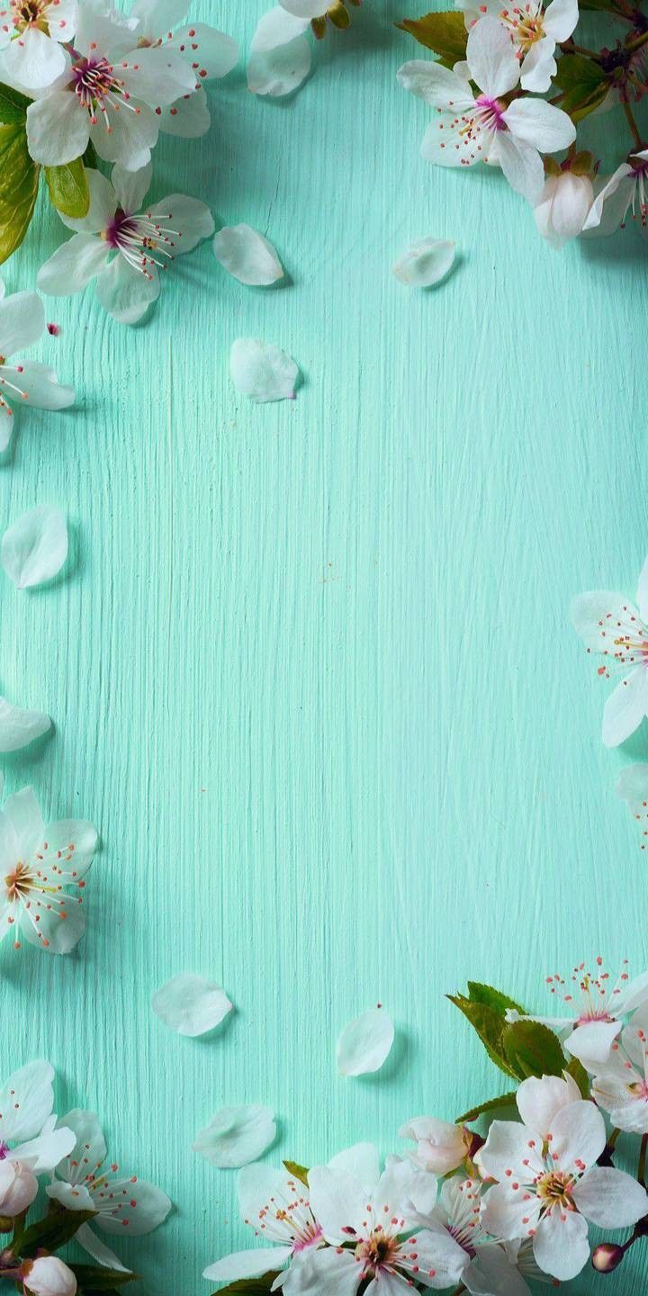 Flower background, HD flower wallpaper