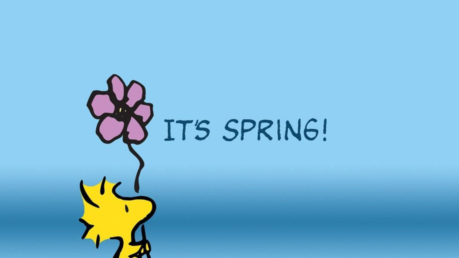 Snoopy Easter Wallpaper HD 113540