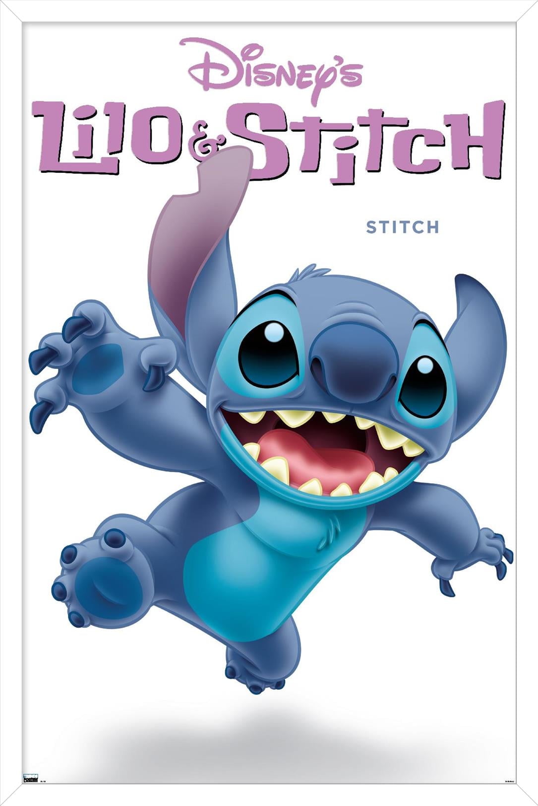 Disney Lilo and Stitch Feature