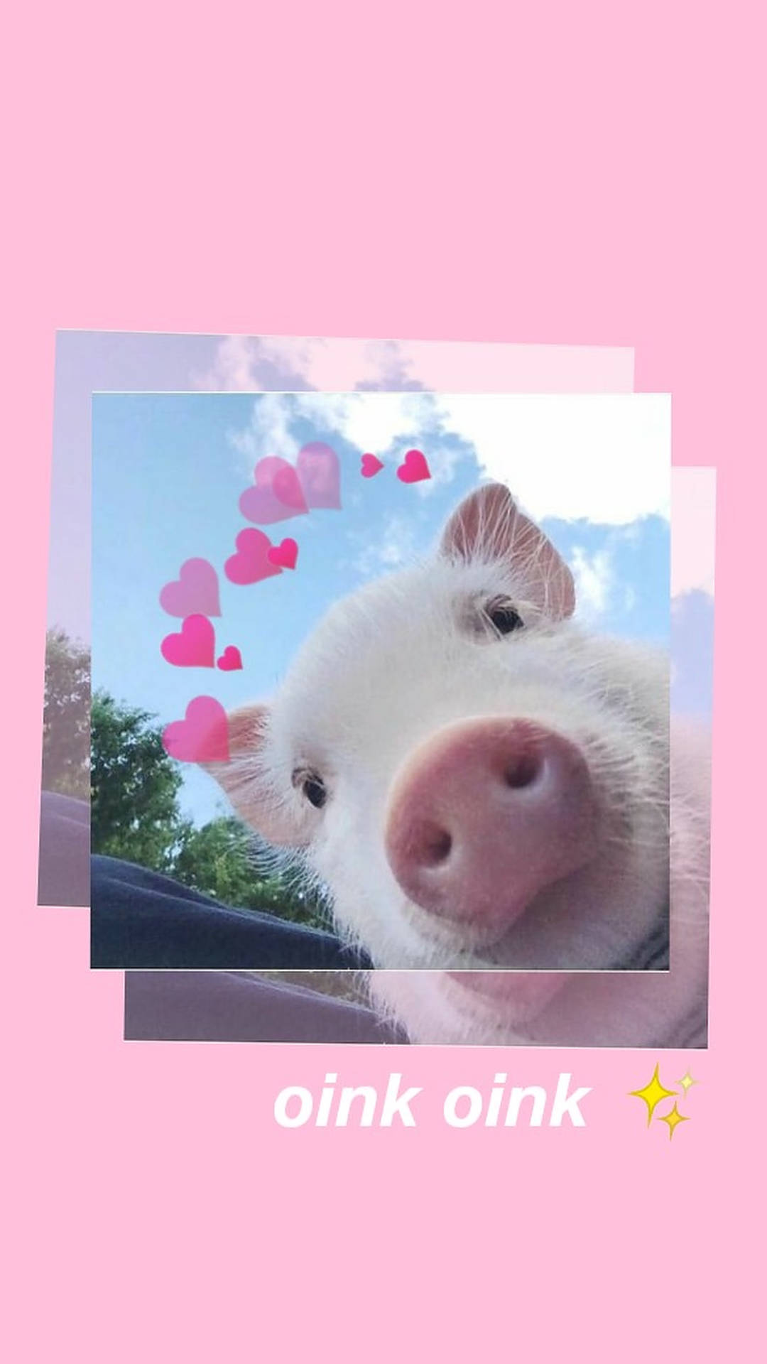 Download free Aesthetic Cute Pig