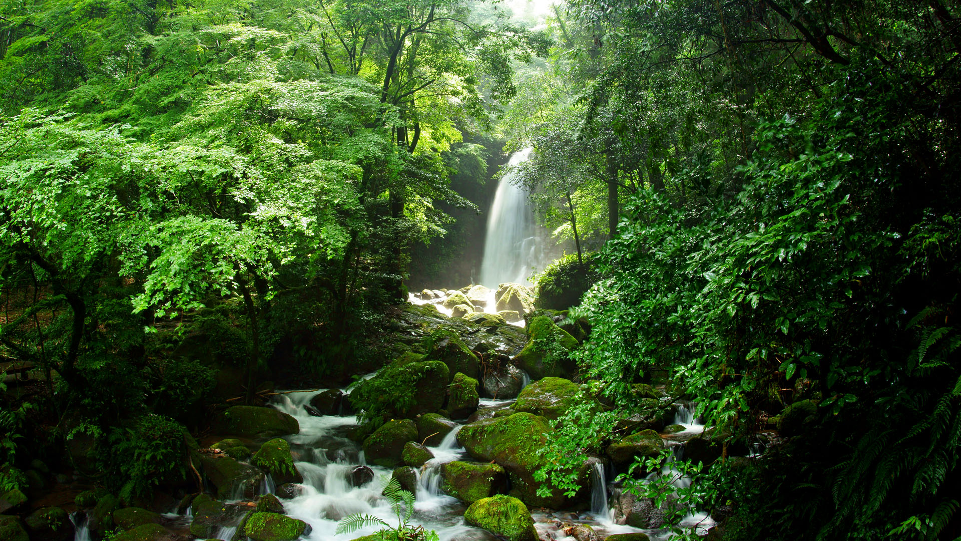 Shiraito Waterfall, Kumamoto Prefecture