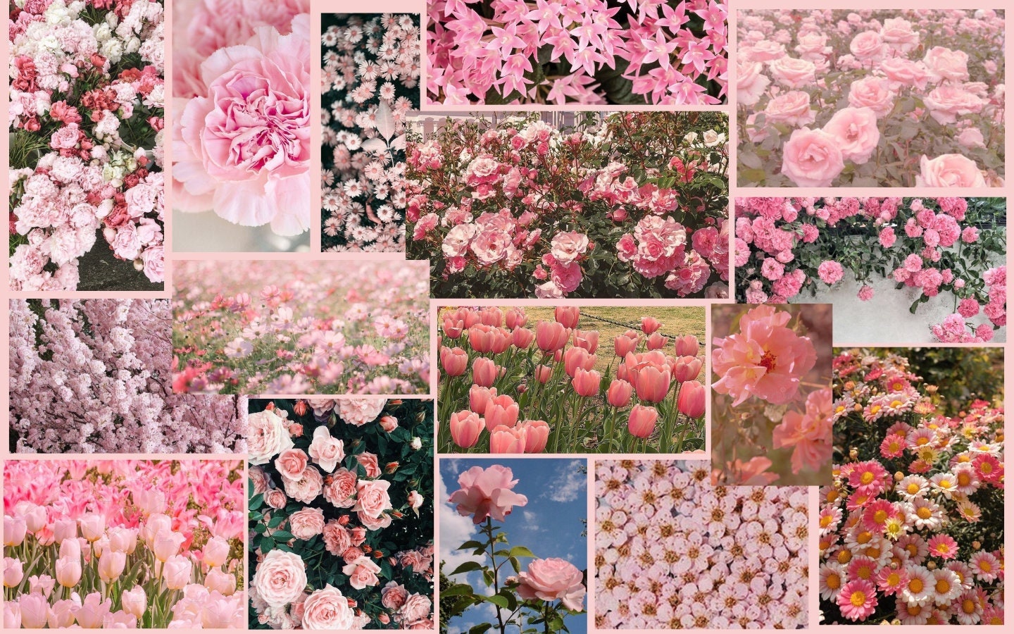 Pink Flowers Moodboard Wallpaper