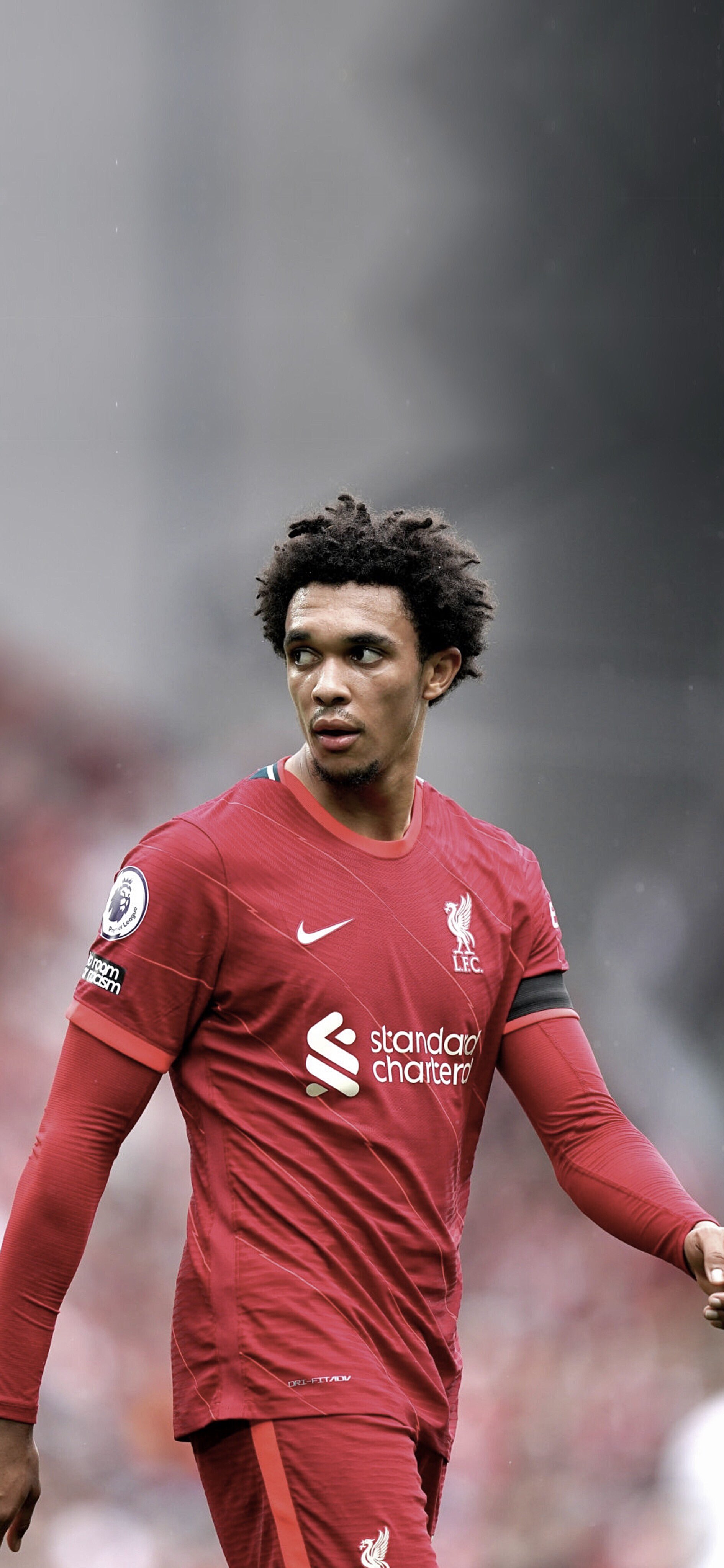 4K. #wallpaper. Trent Arnold