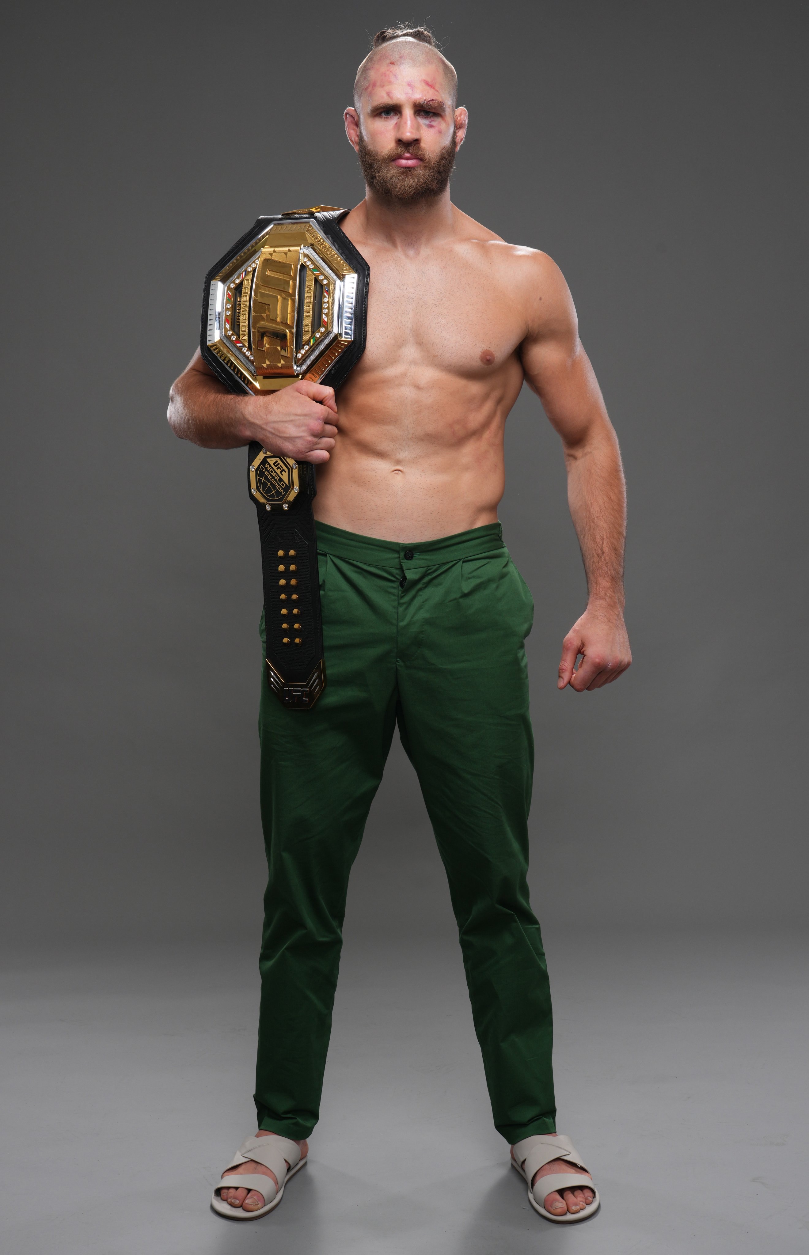 Mediaří BJP Procházka official website