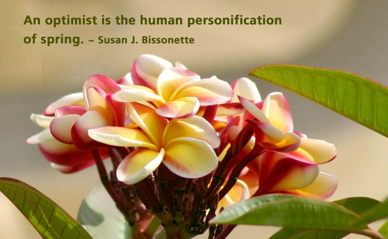 Beautiful Nature Background Wallpaper