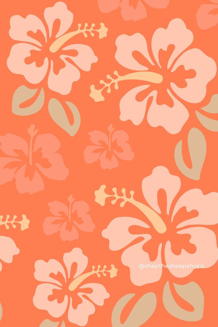 Pastel orange hibiscus aesthetic
