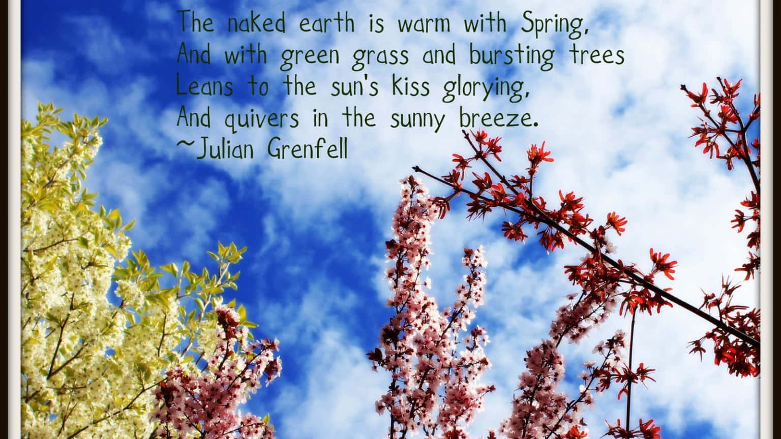 Spring Quotes Wallpaper