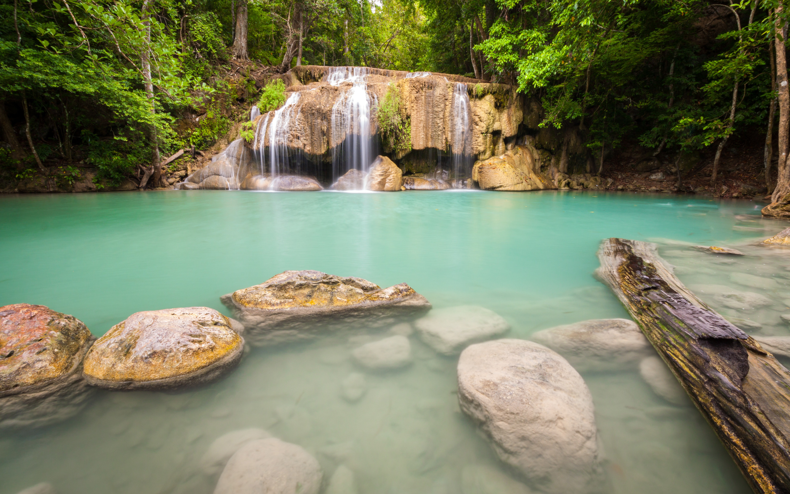 Download wallpaper forest, landscape