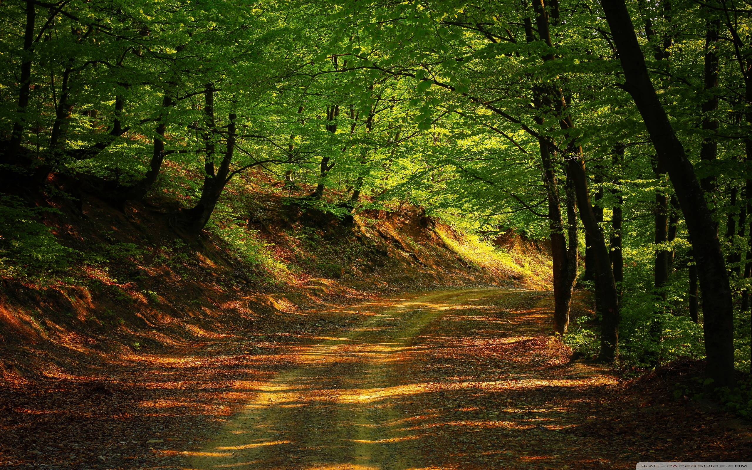 Ultra HD Desktop Background Wallpaper