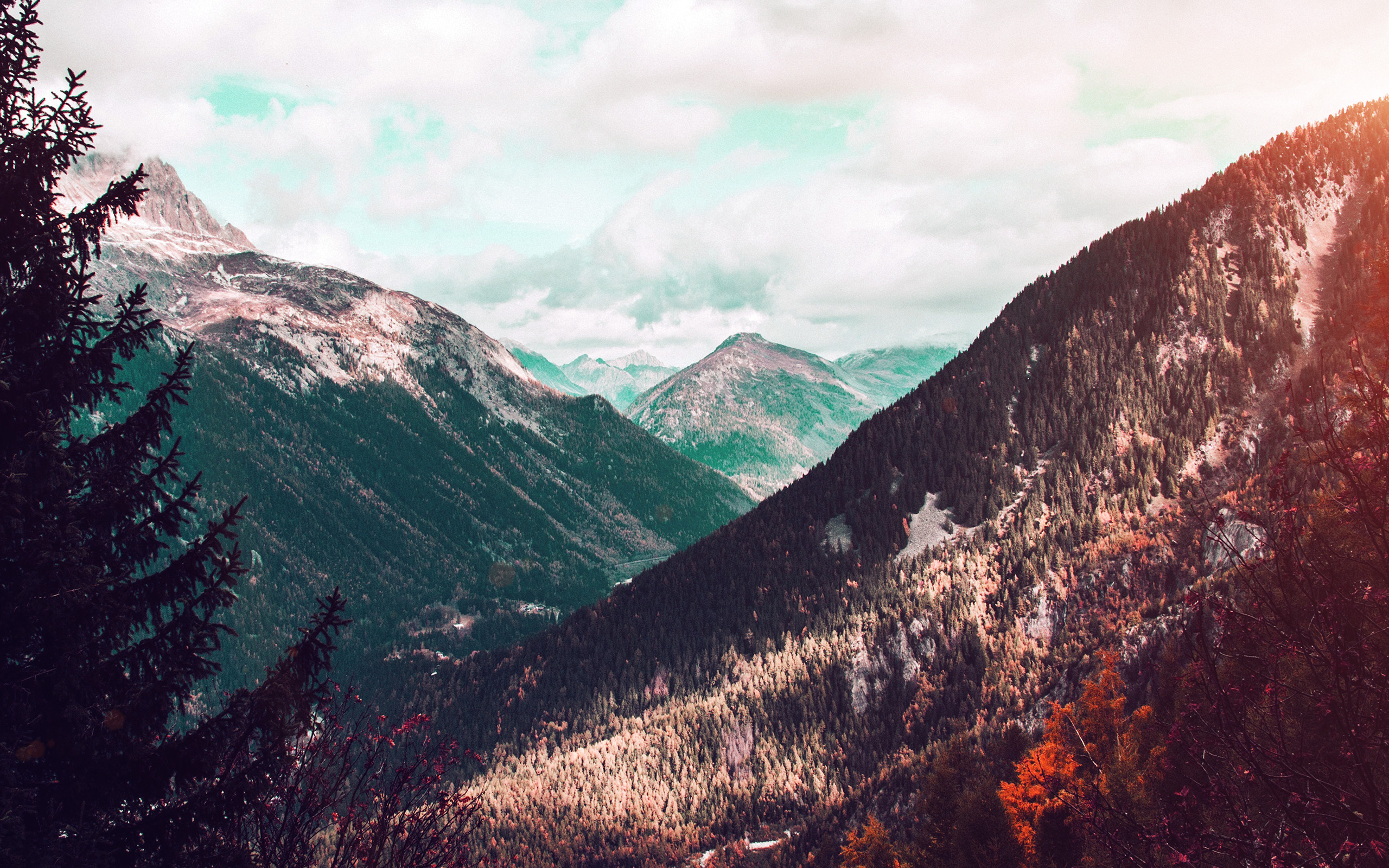Mountain Forest Summer Wood Nature