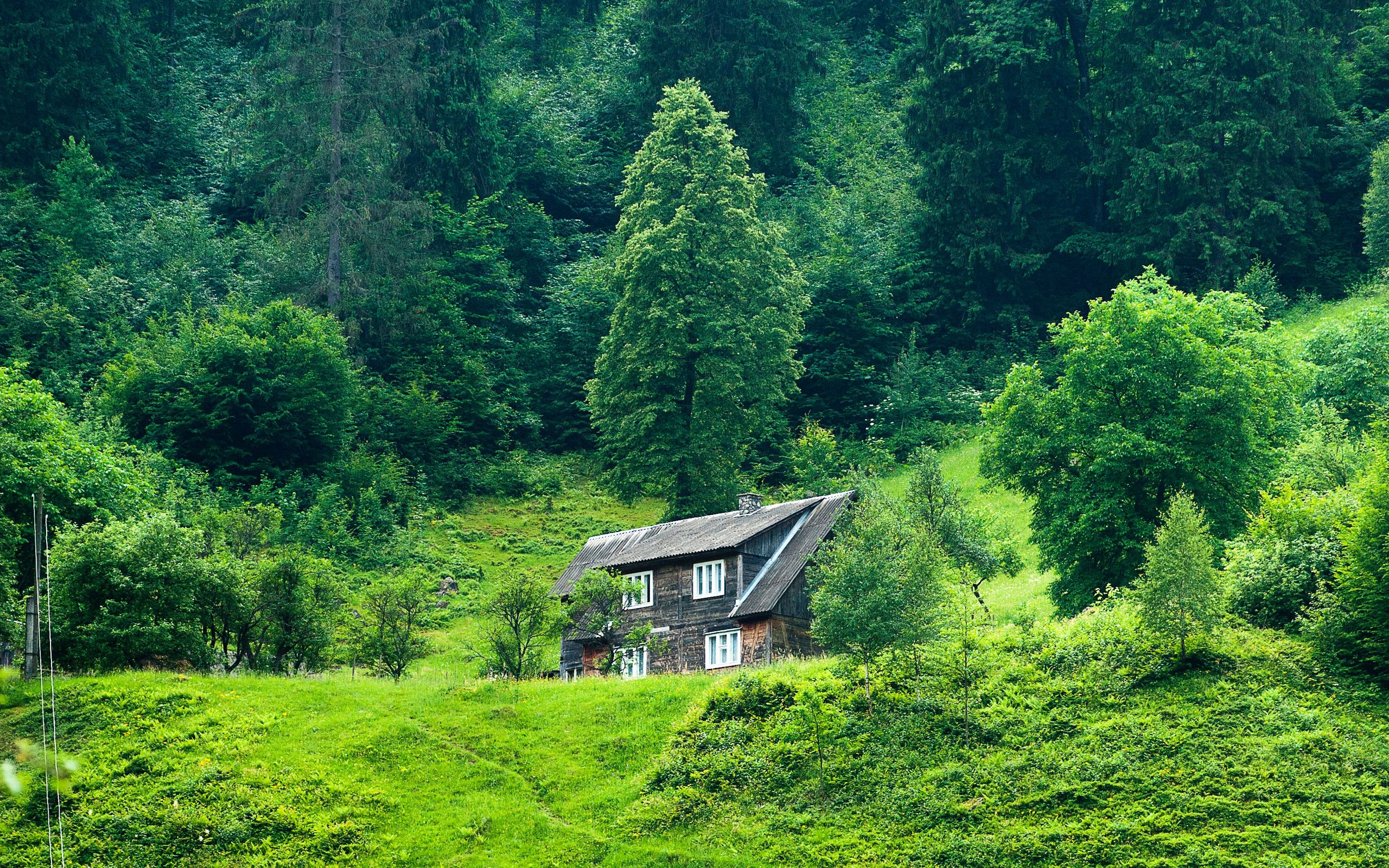 Download wallpaper 2560x1600 house