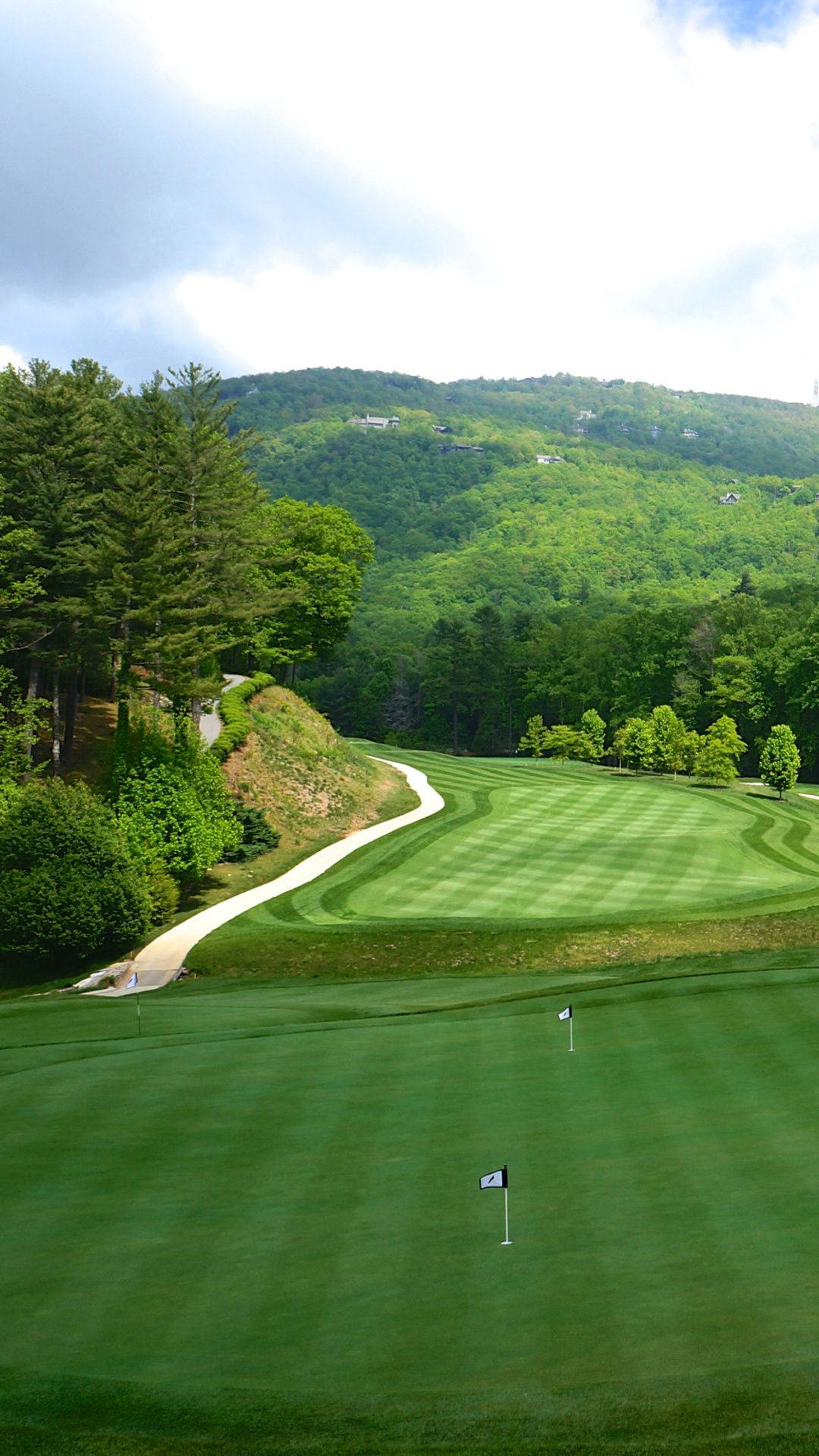 Download Wide Green Golf Course Area