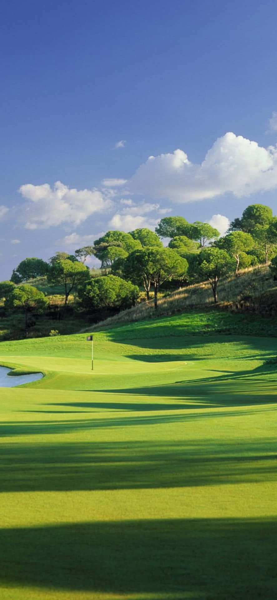 Golf Course Beauty with iPhone X