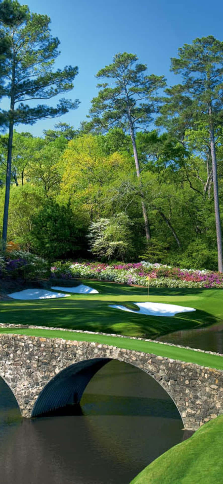 beautiful nature with your iPhone X