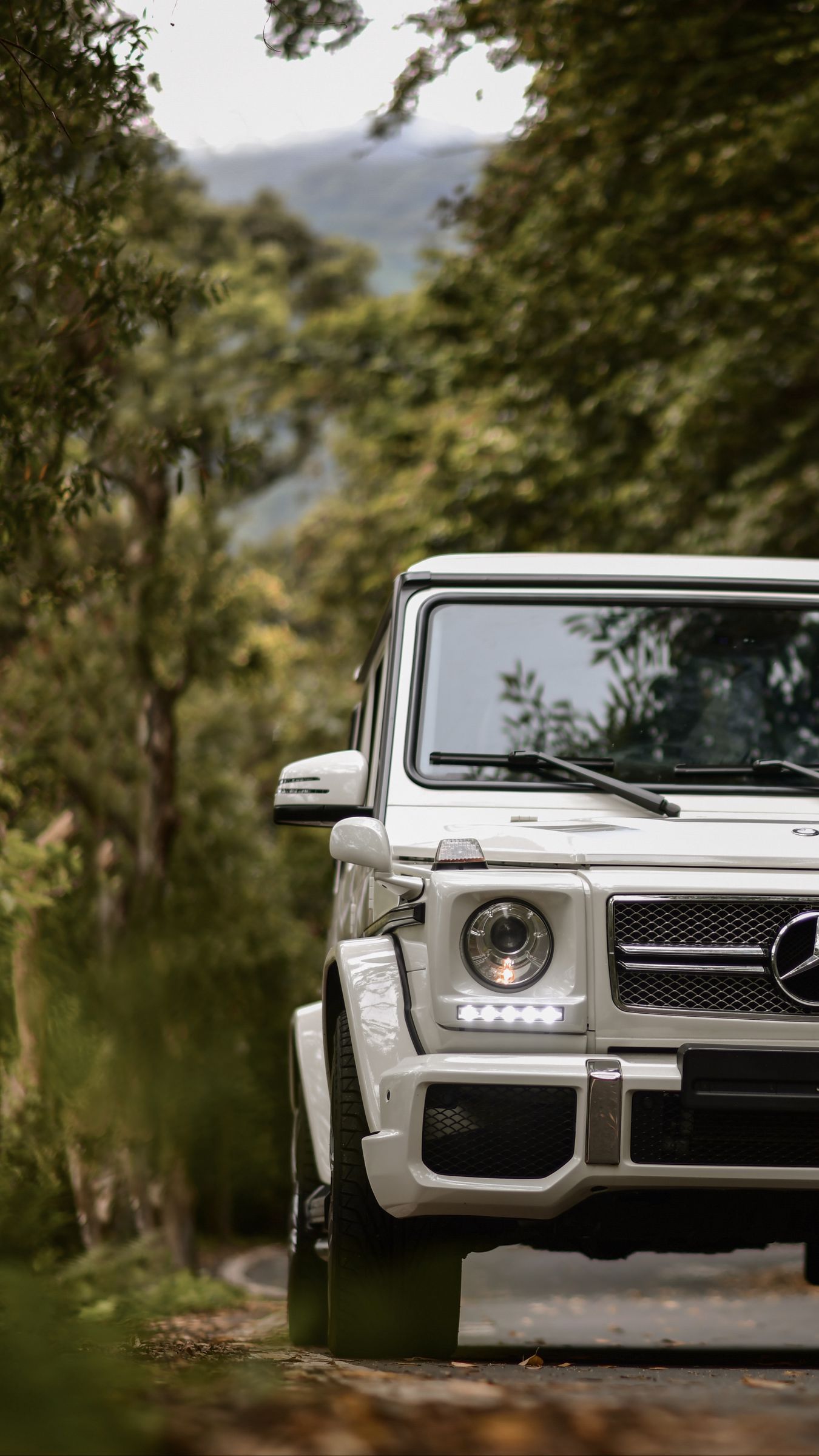 Download wallpaper 1350x2400 mercedes