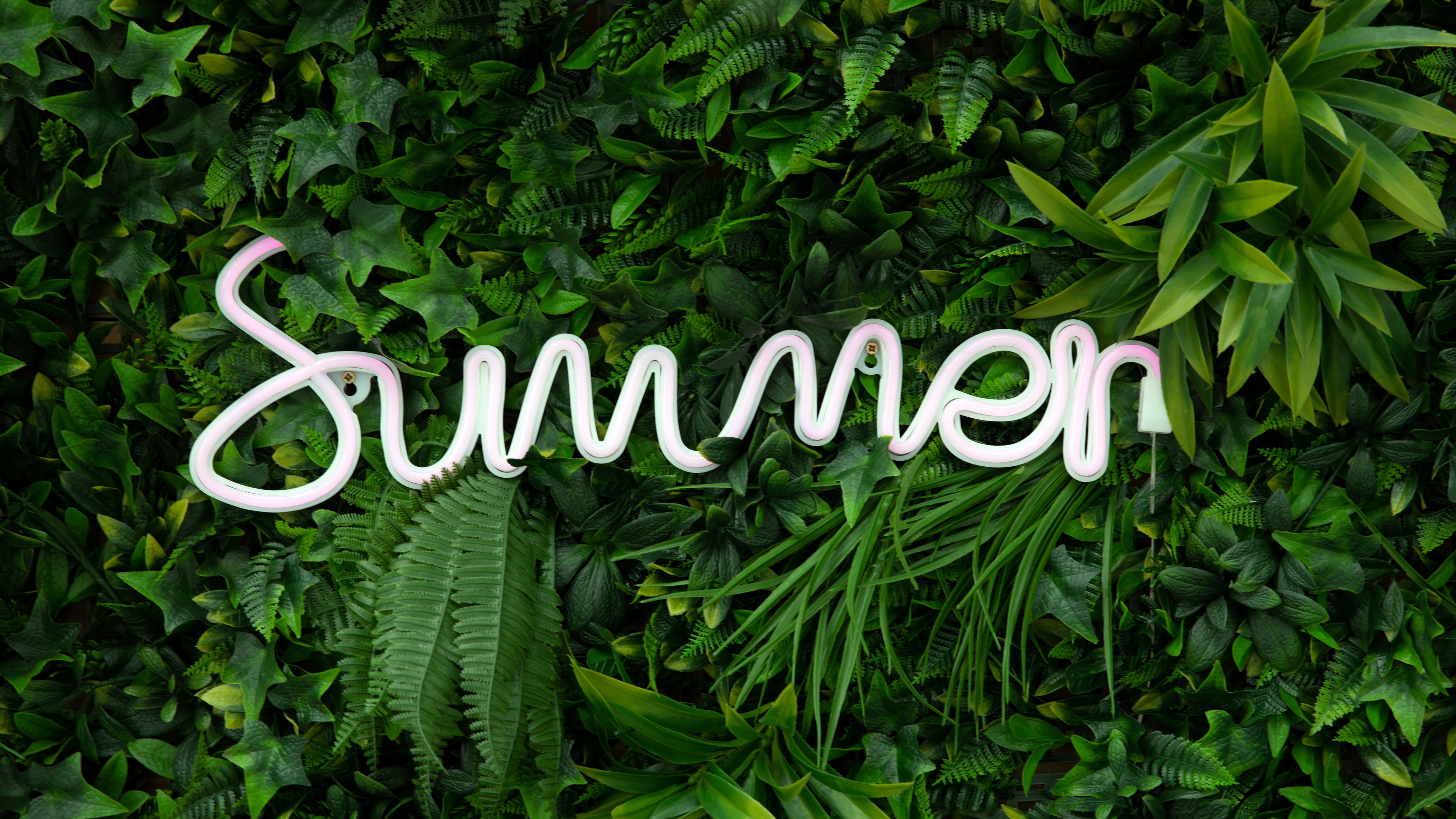 Summer Wallpaper 4K, Neon sign, Green aesthetic