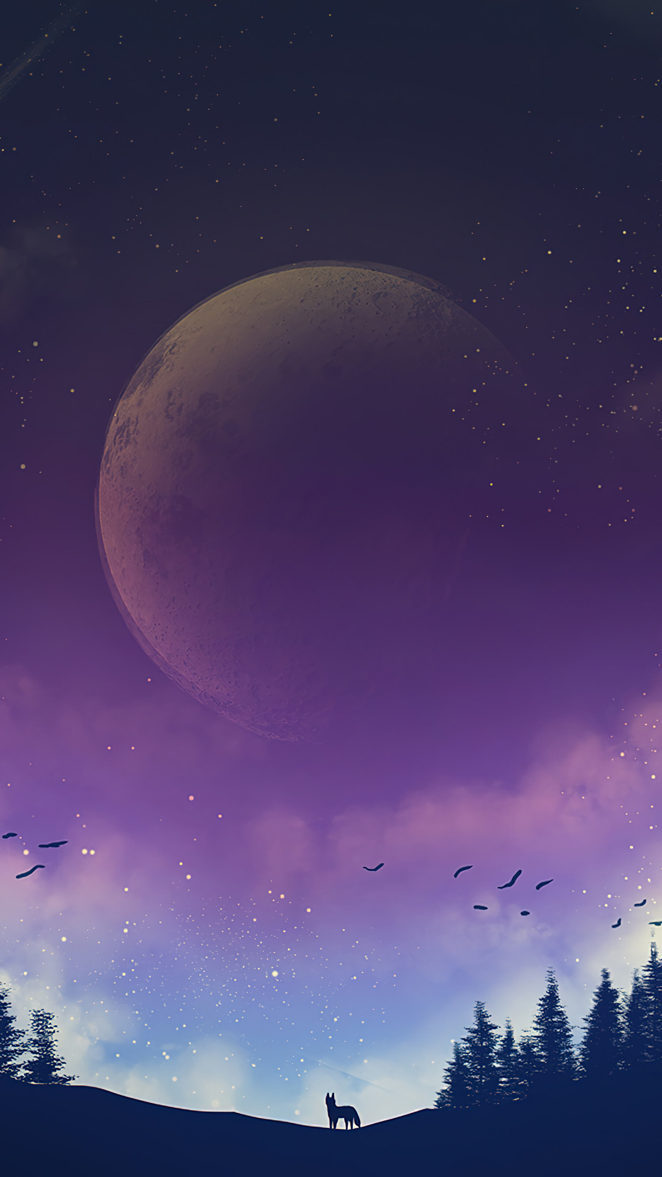 Starry Stars Night Sky Anime 4K