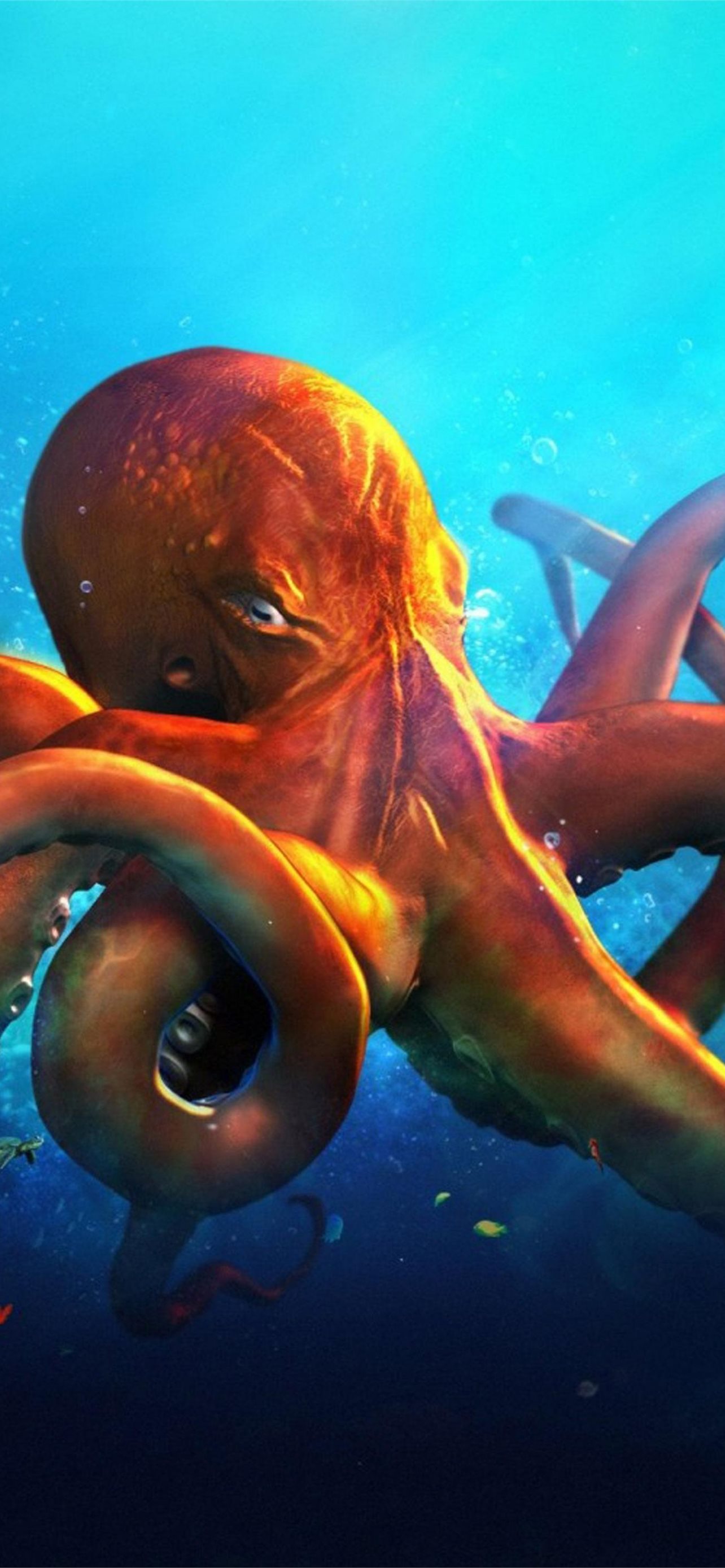 Best Octopus iPhone HD Wallpaper