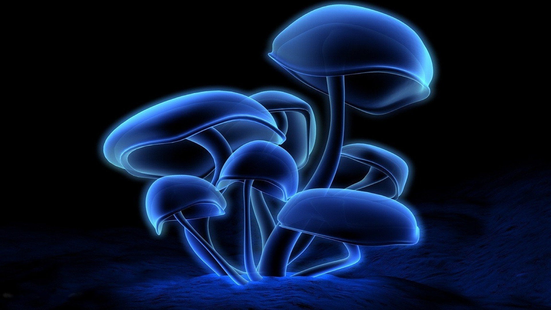 Anyone else remember using the Neon Mushroom wallpaper on your first gaming PC?