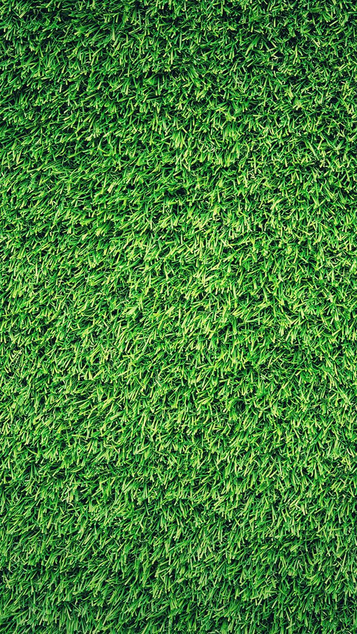Grass wallpaper, Green wallpaper