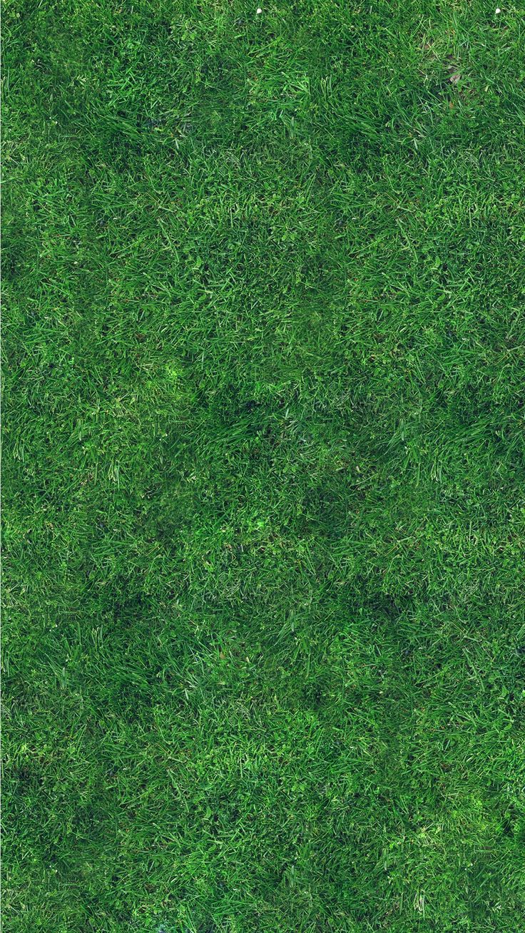 Grass Texture. Grass textures, Green