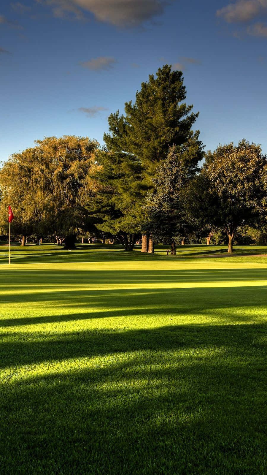 Download A Green Golf Course With Trees