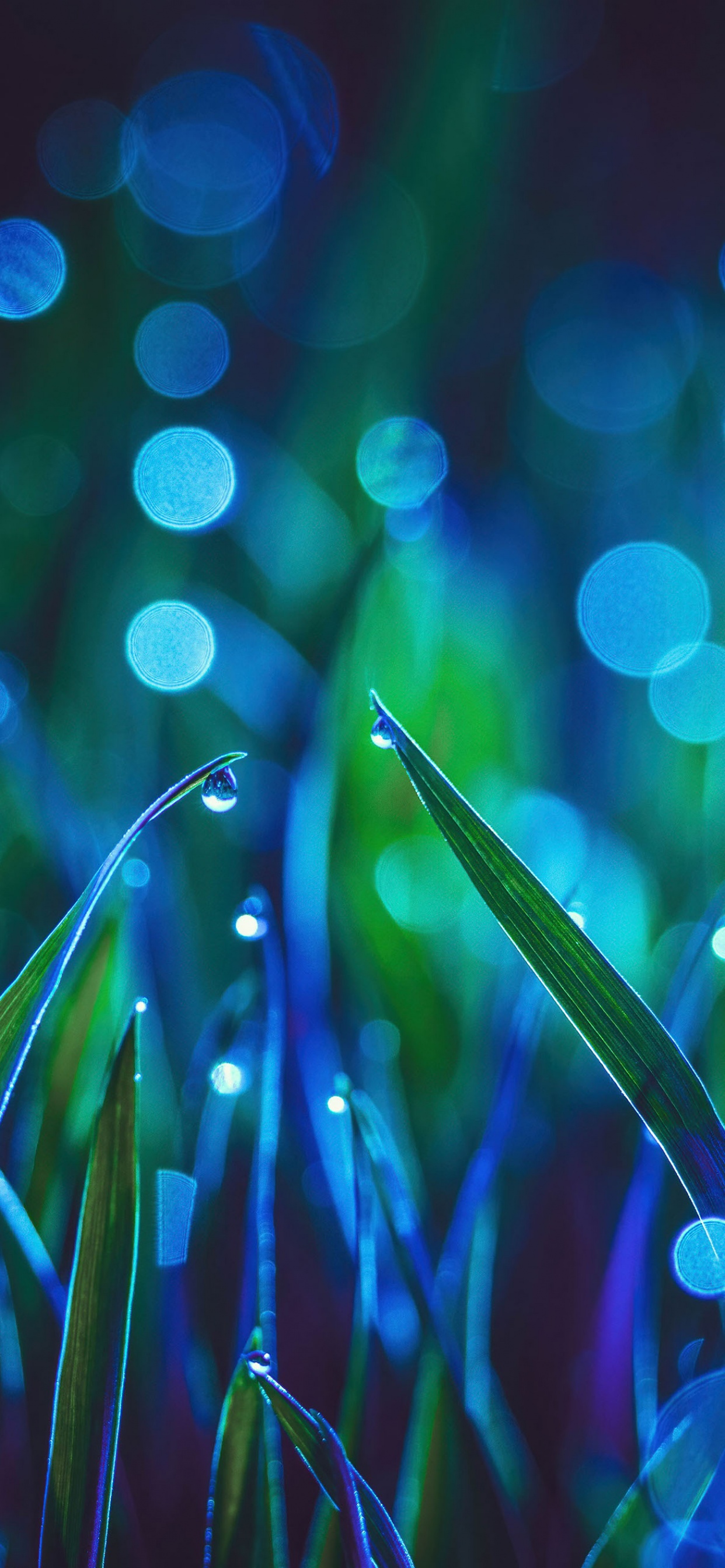 Landscape Wallpaper 4K, Grass, Bokeh