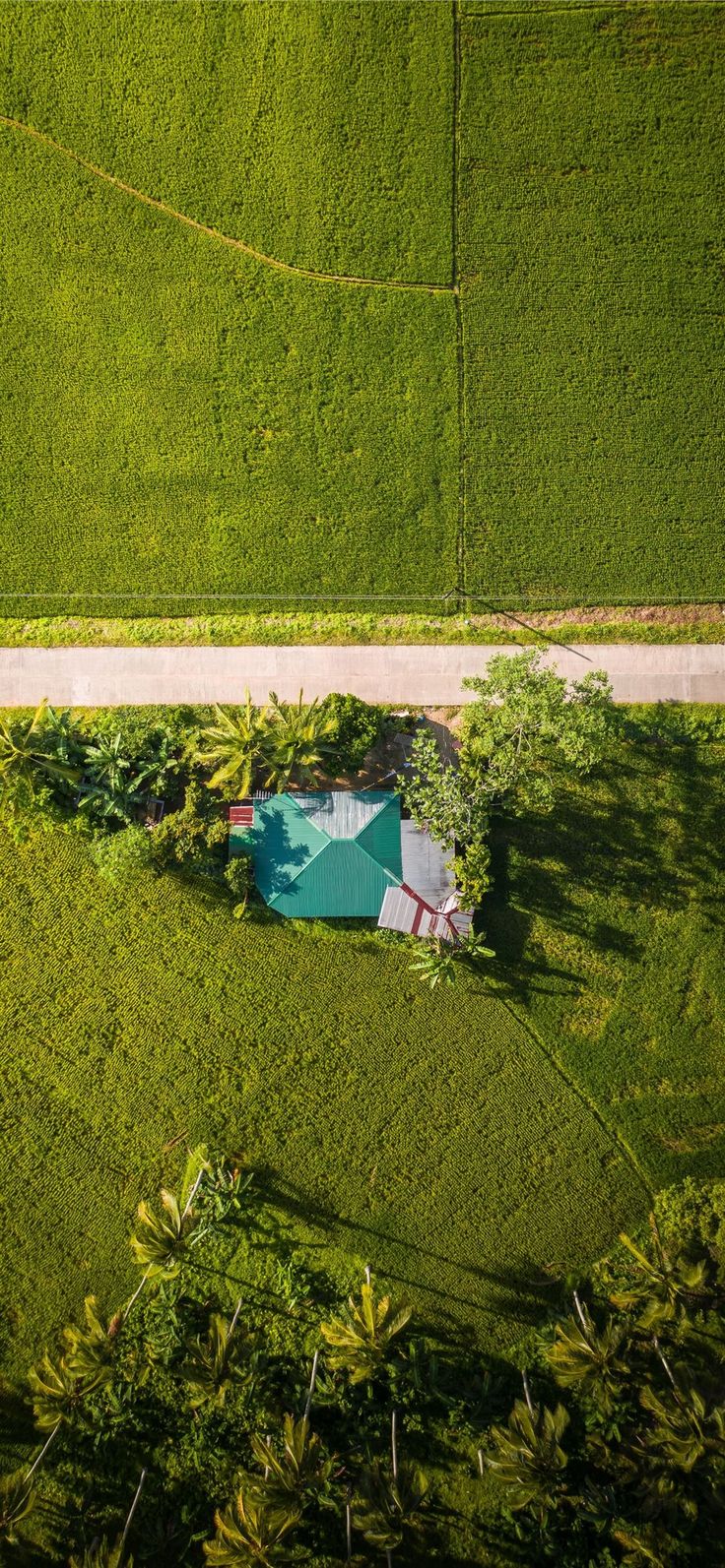 aerial view of green grass field during