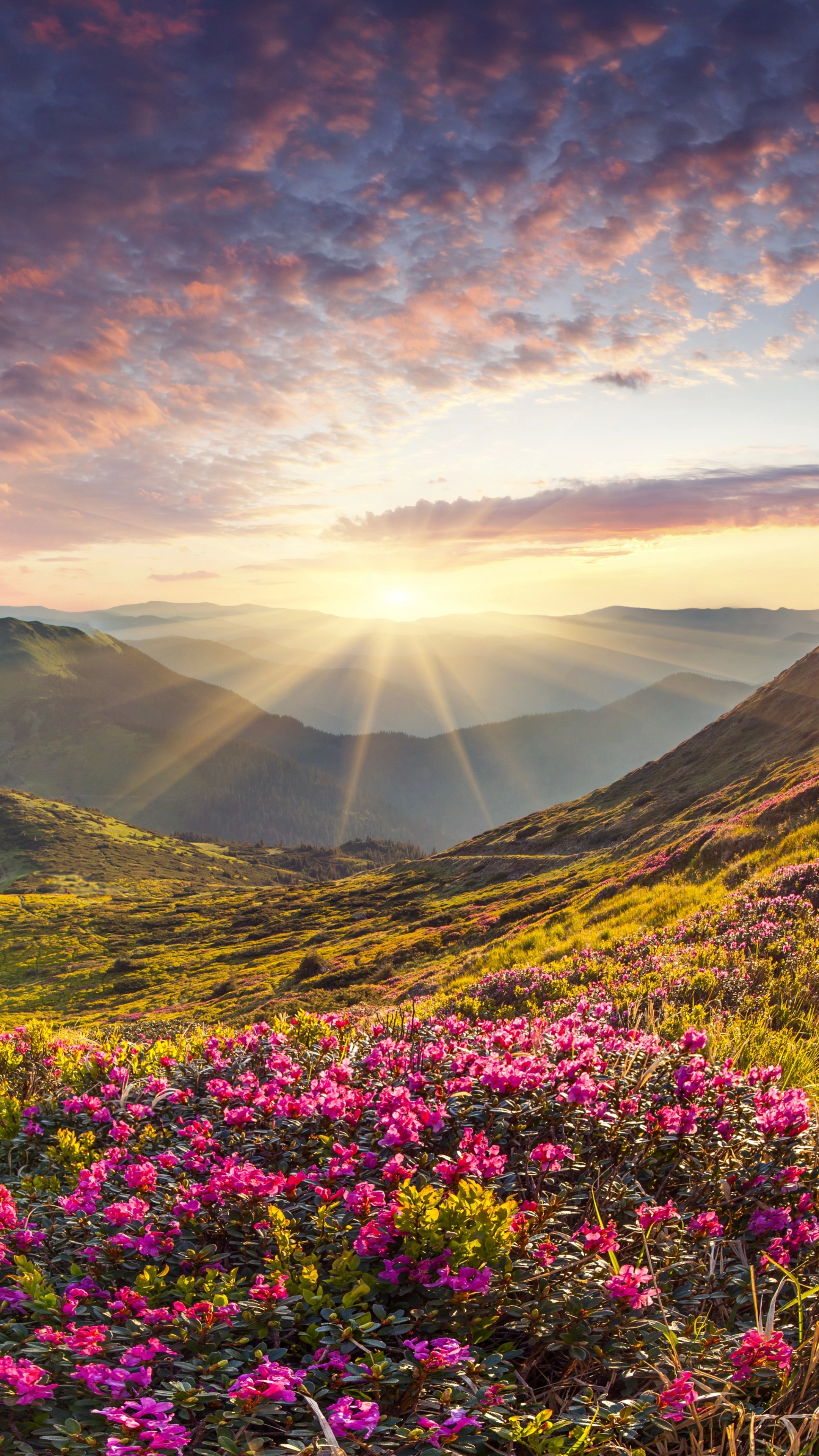 Landscape Phone Wallpaper