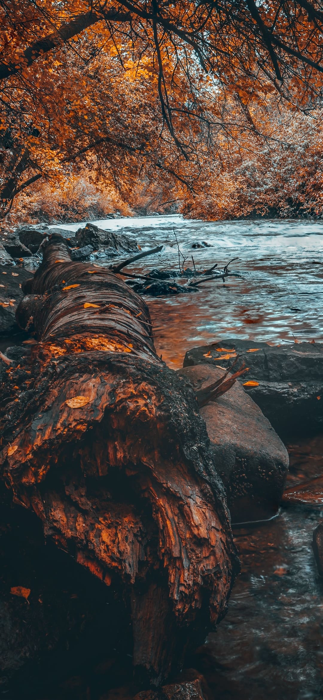 Nature Wallpaper: Best Nature