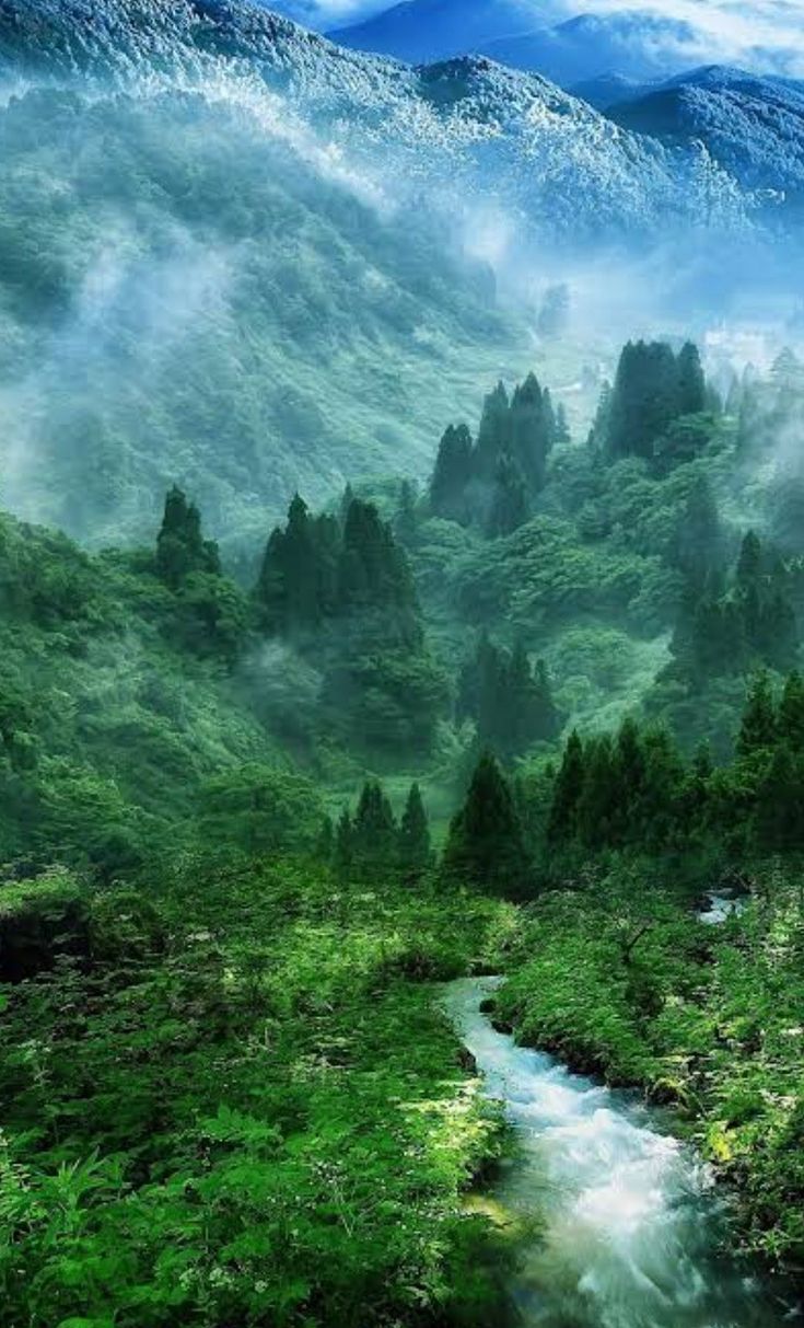 Hd nature wallpaper, Nature wallpaper