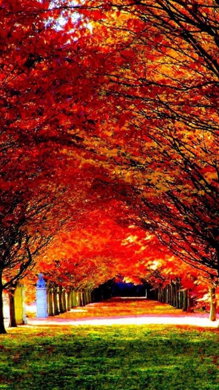 wallartyard wallpaper on LinkedIn