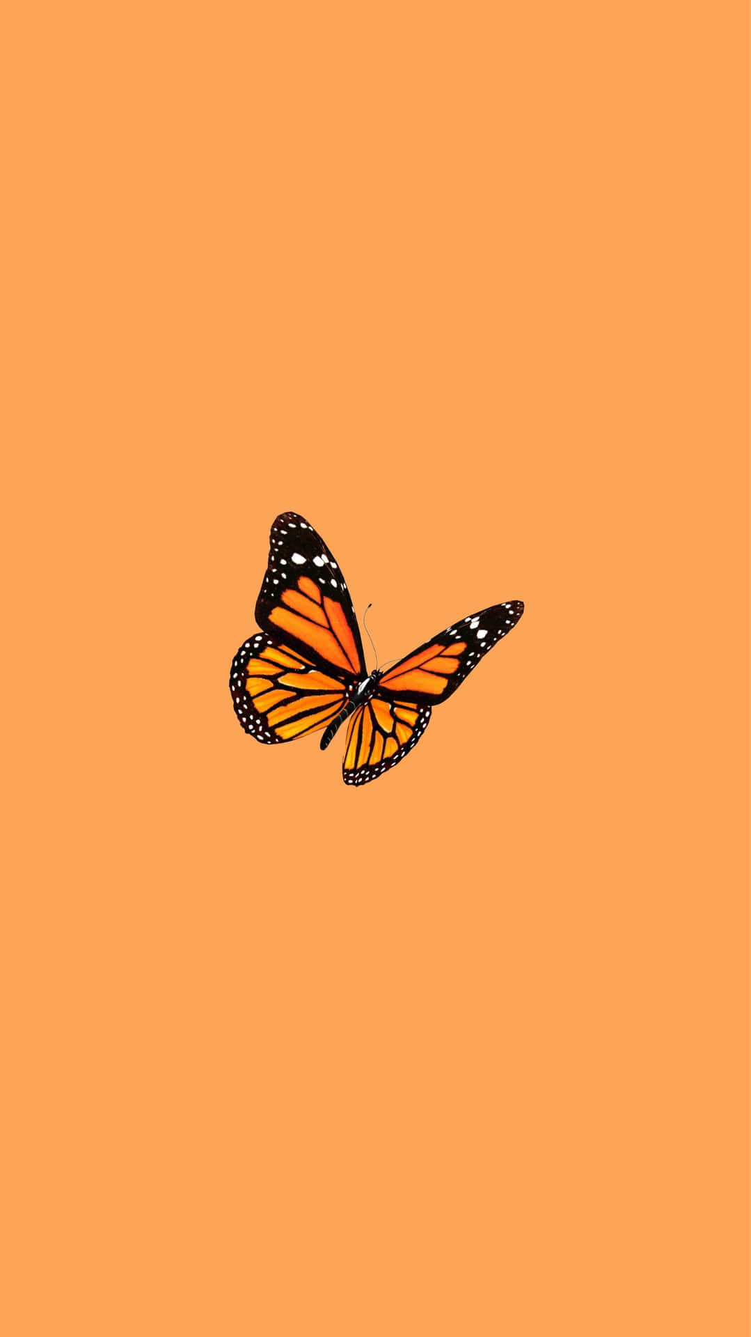 Download Butterfly Sticker Orange