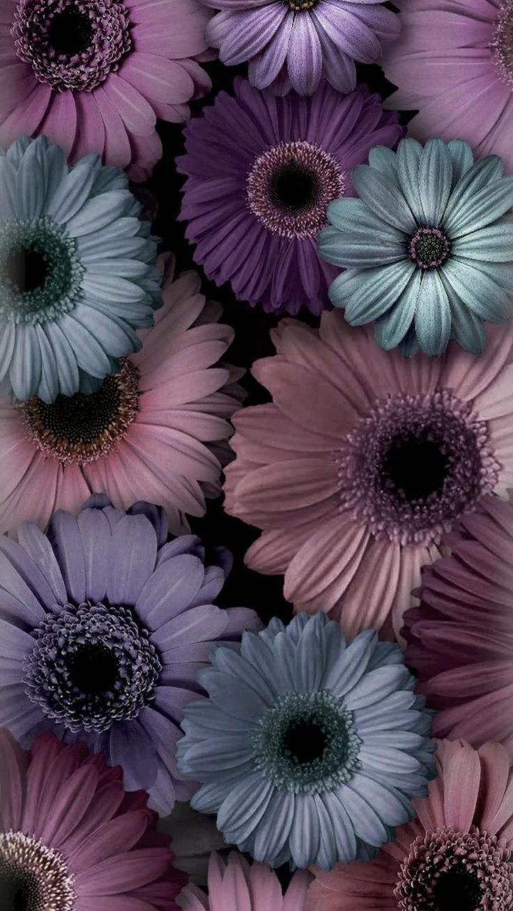 Colorful Flower Phone Wallpaper