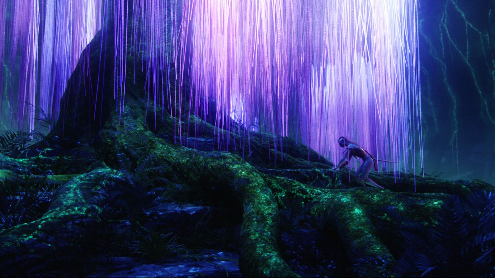 Avatar tree, Avatar world, Avatar poster