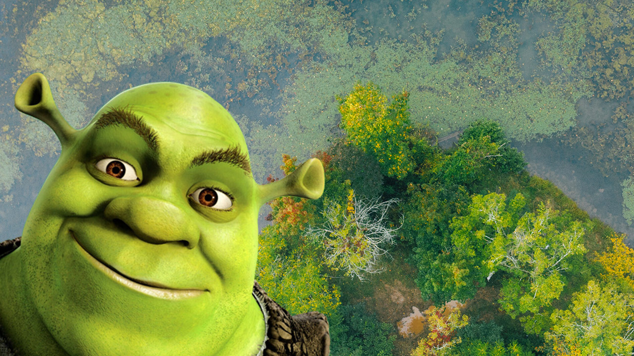 Shrek and God's Perspective